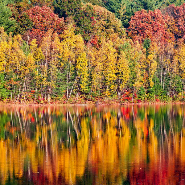 connecticut fall foliage